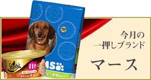 ブランドフェア