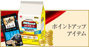 ポイントアップアイテム