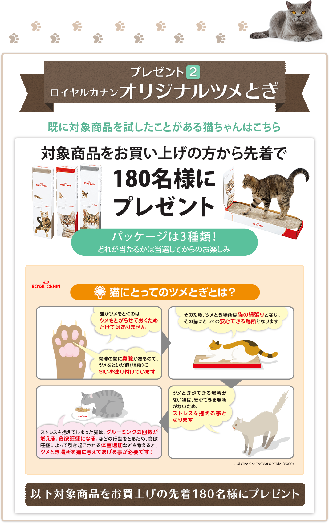 ニャンニャンの日記念 ダブルプレゼントキャンペーン ペットゴー