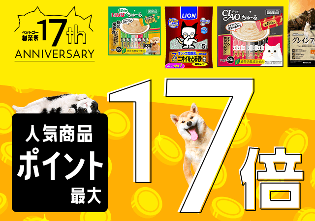 17周年記念！ポイントアップ商品特集