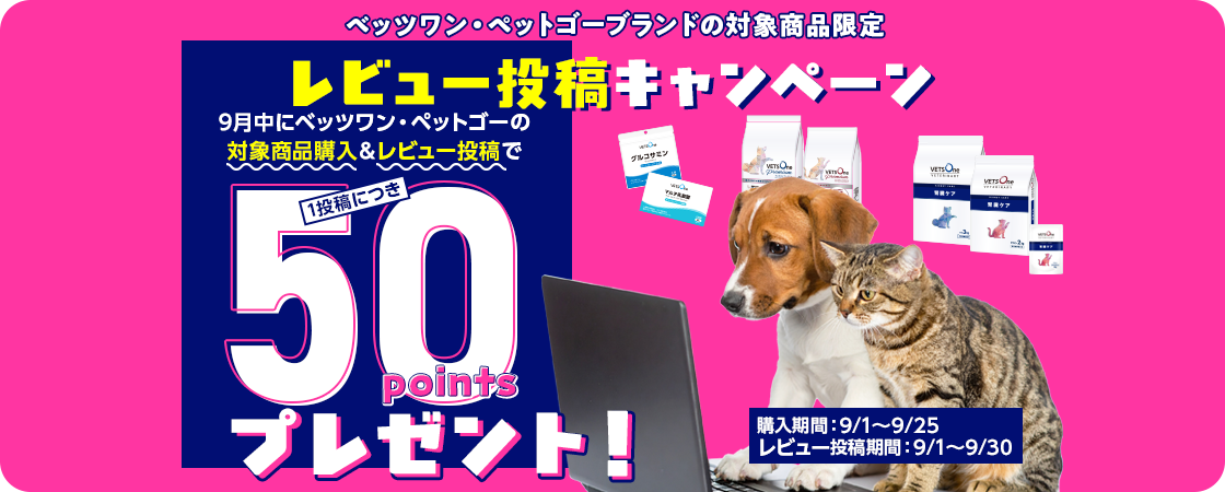 レビューを書いて50ポイントもらえる