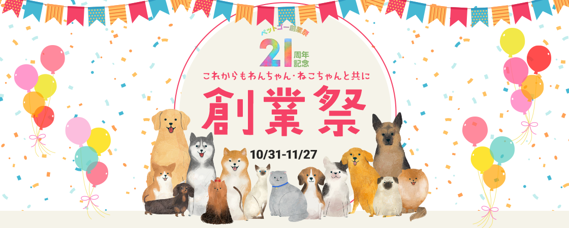 2025サマーキャンペーン