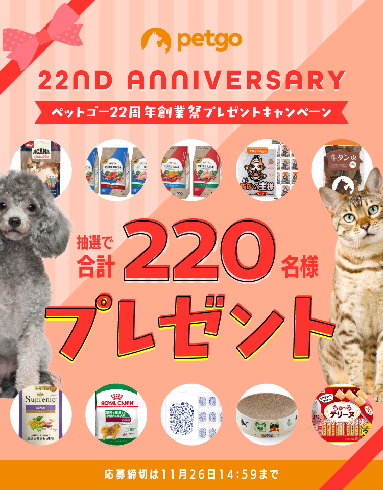 計220名様プレゼント