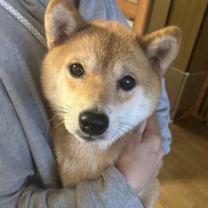柴三郎