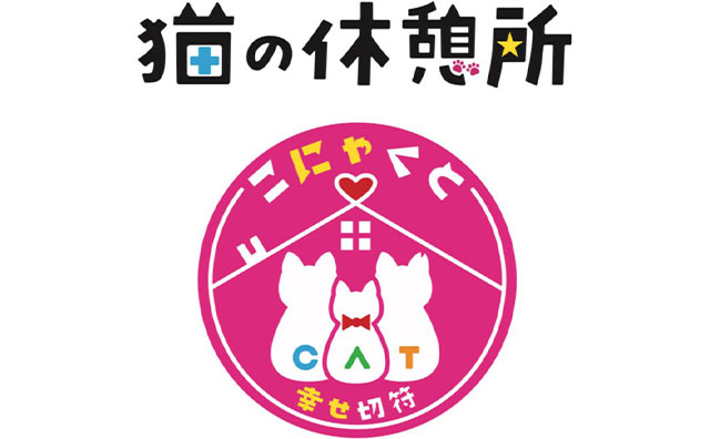 こにゃくと 保護猫シェルター猫の休憩所