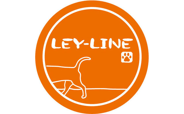 特定非営利活動法人LEY-LINE