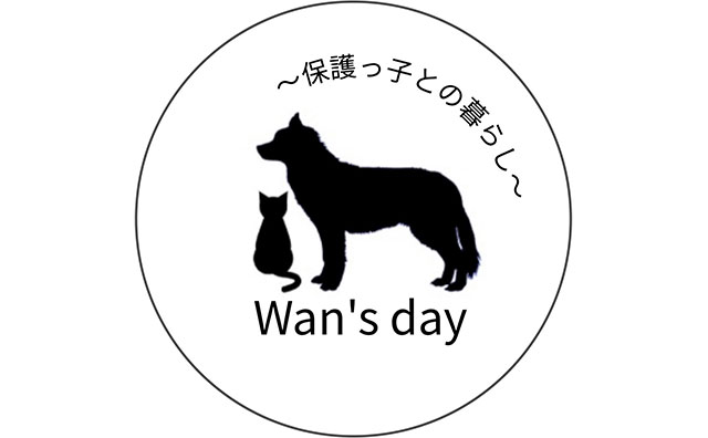 保護犬猫シェルター Wan's day