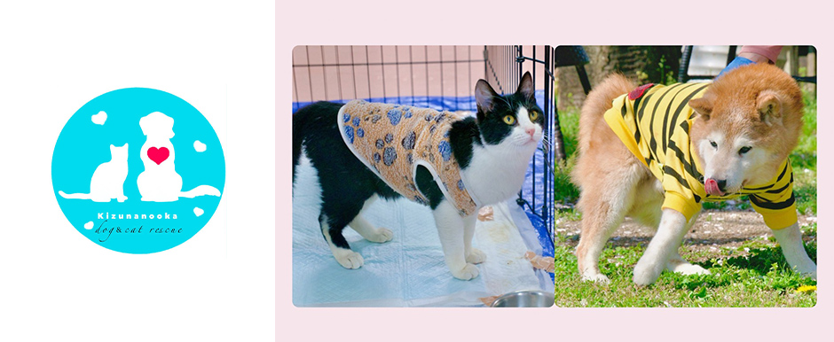 犬猫ケアホームきずなの丘
