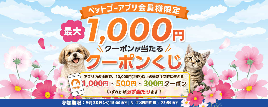 ハズレなし！抽選で最大500円クーポンプレゼント！