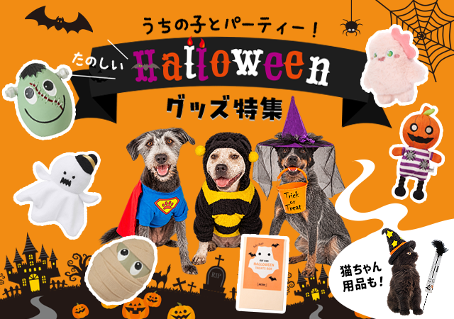 ハロウィンアイテム一覧