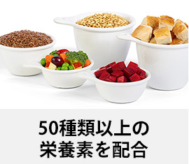 ペットゴーおすすめのサイエンスダイエットはこちら