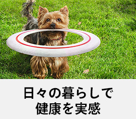 ペットゴーおすすめのサイエンスダイエットはこちら