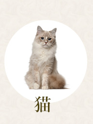 猫