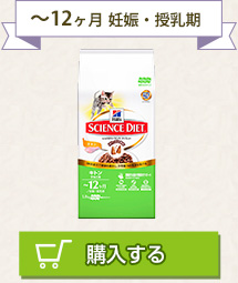 ～12ヶ月 妊娠・授乳期