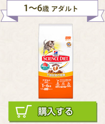 1～6歳 アダルト