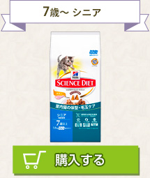 7歳～ シニア