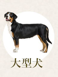 大型犬