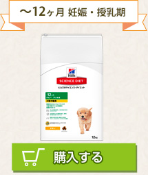 ～12ヶ月 妊娠・授乳期