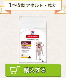 1～5歳 アダルト・成犬