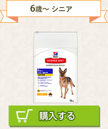 6歳～ シニア
