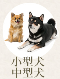 小型犬・中型犬