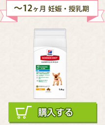 ～12ヶ月 妊娠・授乳期
