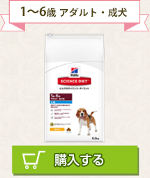 1～6歳 アダルト・成犬