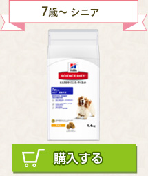 7歳～ シニア