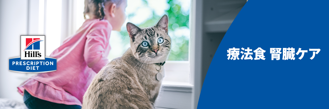 療法食 腎臓ケア