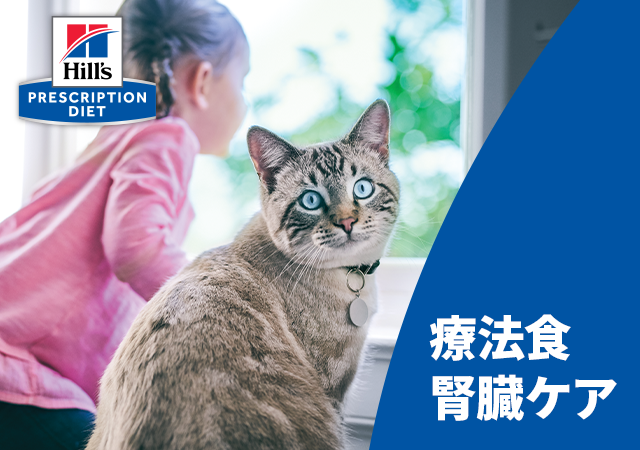 ヒルズ 療法食 腎臓ケア（猫） | ペットゴー