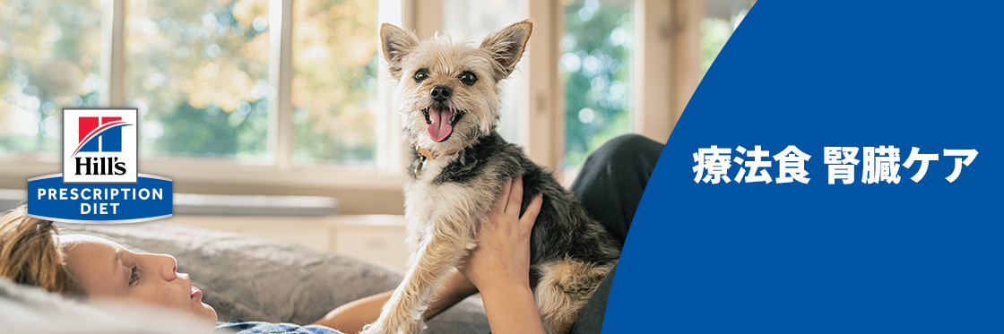 療法食 腎臓ケア