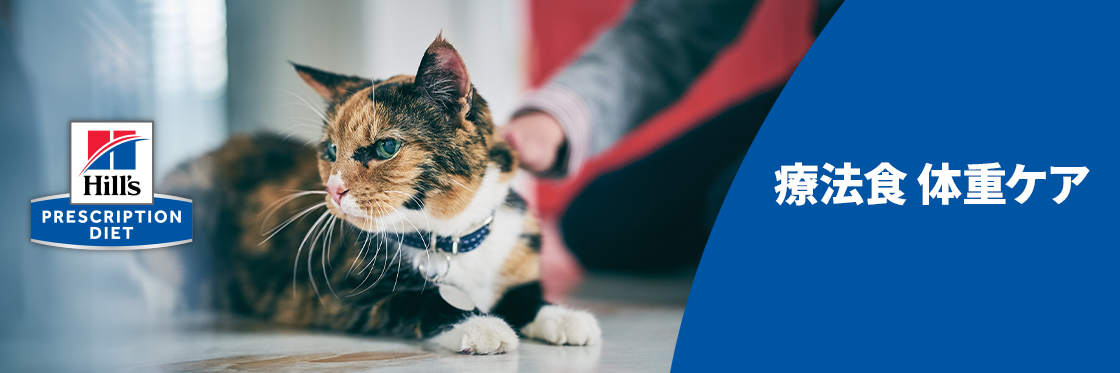 療法食 体重ケア