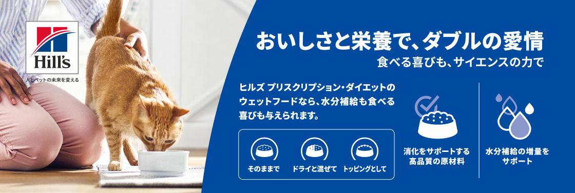 猫用ウエットフード