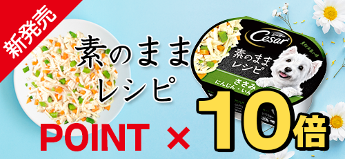 素のままレシピ　今ならポイント10倍