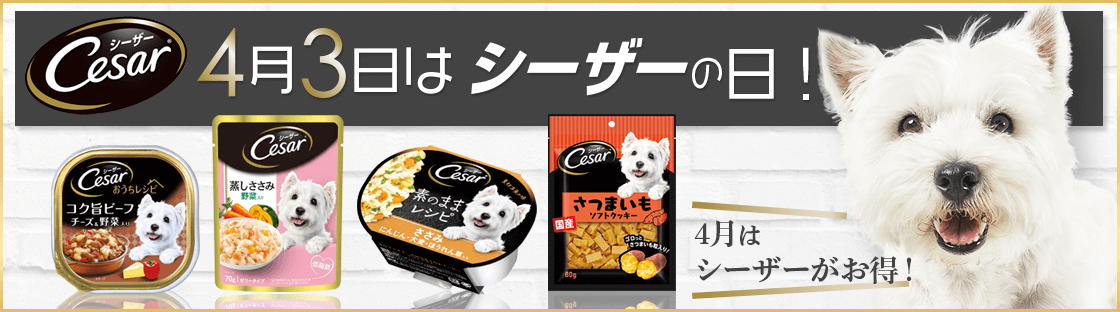 4月3日はシーザーの日！