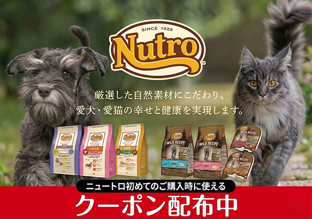 クーポン対象一覧