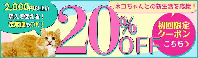 20％OFFクーポン