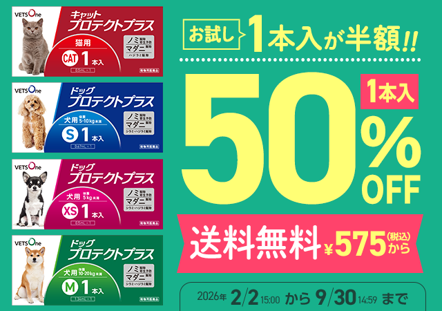 お試し1本入半額で送料無料