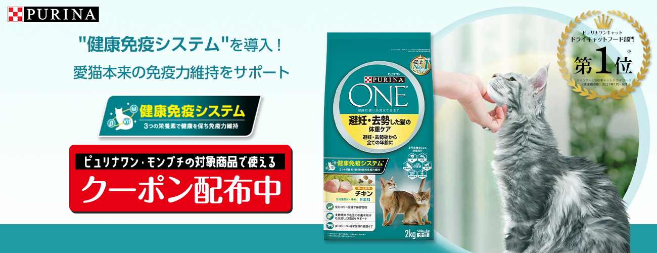 通常商品より30％OFF！ピュリナワンキャット、モンプチバッグ定期便キャンペーン