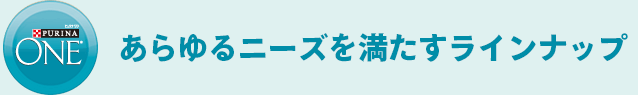 あらゆるニーズを満たすラインナップ