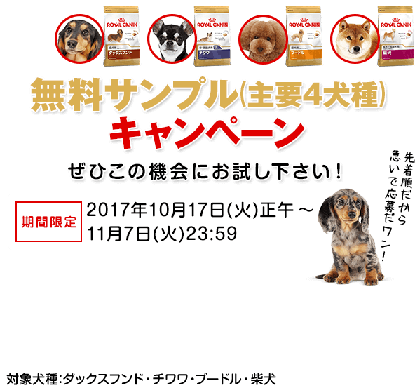 ロイヤルカナン サンプルお試しキャンペーン ペットゴー
