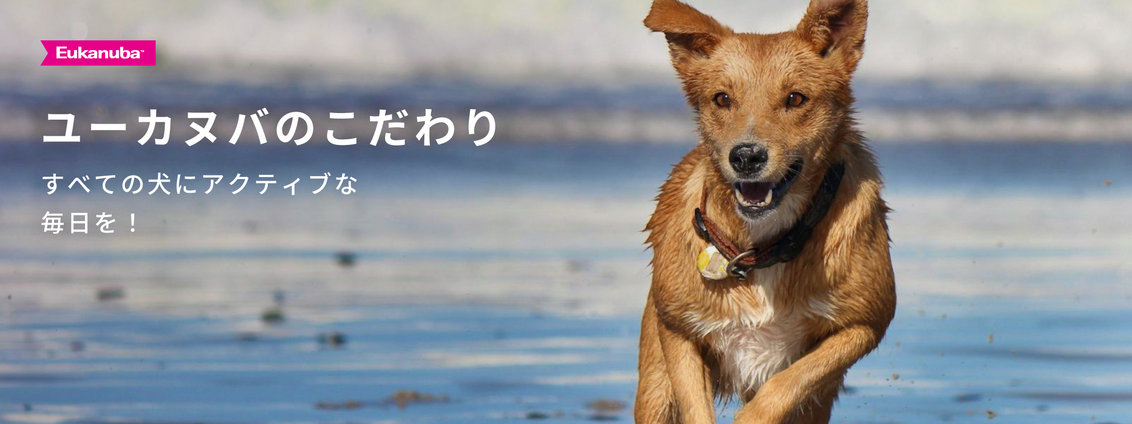 ユーカヌバのこだわり