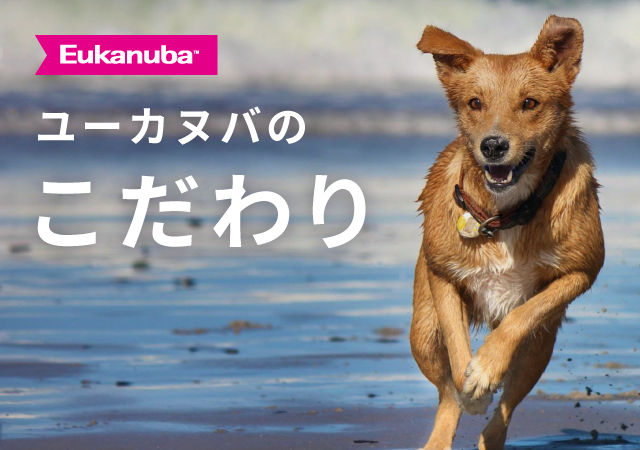 ユーカヌバのこだわり