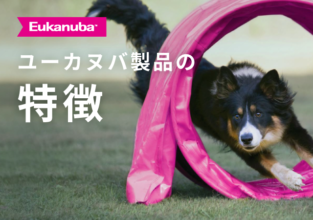 ユーカヌバの特徴