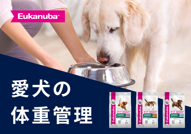 愛犬の体重管理