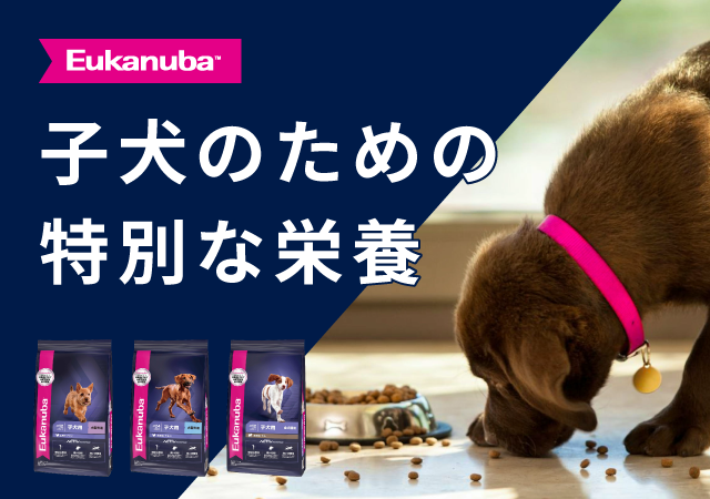 子犬のための特別な栄養