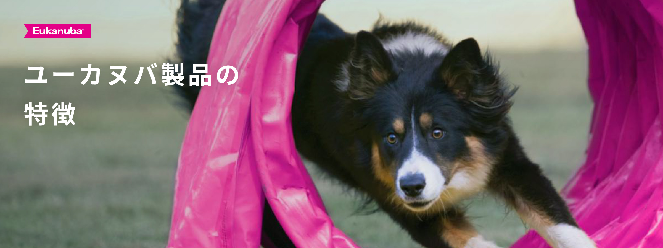 ユーカヌバ製品の特徴
