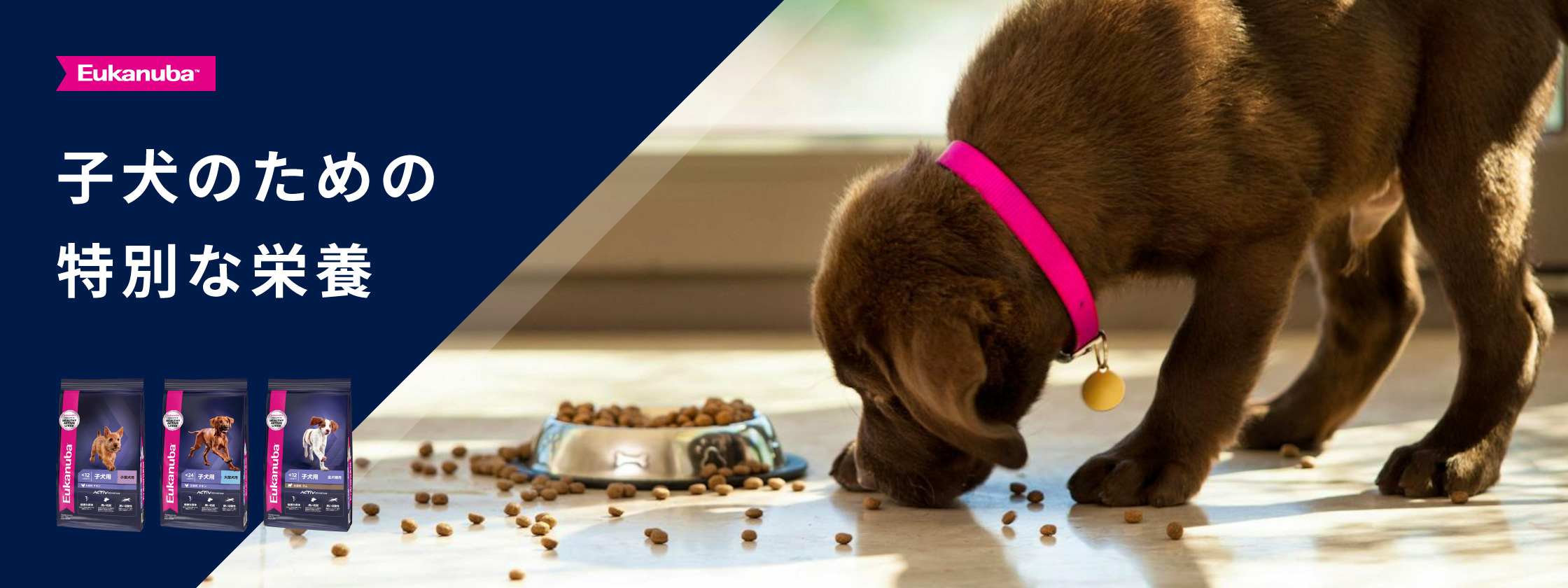 子犬のための特別な栄養