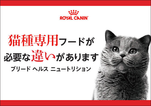 BHN 猫種専用フード