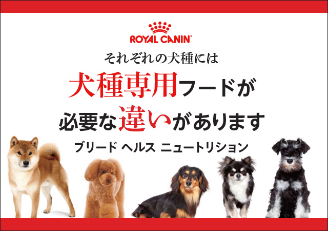 BHN 犬種専用フード